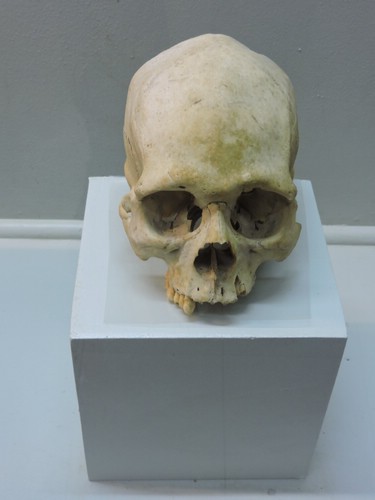 DSCN3129.JPG
