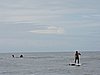 DSCN2894.JPG