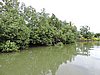 DSCN2897.JPG