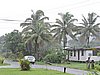 DSCN2910.JPG