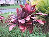 DSCN2916.JPG