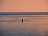 DSCN2919.JPG