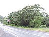 DSCN2924.JPG