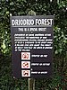 DSCN2932.JPG