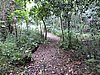 DSCN2933.JPG