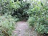 DSCN2936.JPG