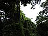 DSCN2937.JPG