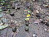 DSCN2938.JPG