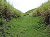 DSCN2939.JPG