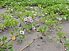 DSCN2946.JPG