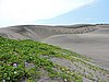 DSCN2947.JPG