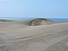 DSCN2950.JPG