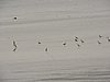 DSCN2955.JPG