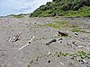 DSCN2960.JPG