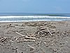 DSCN2961.JPG