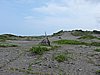 DSCN2964.JPG