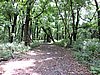 DSCN2968.JPG