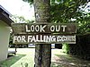 DSCN2970.JPG