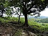 DSCN2983.JPG