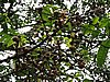 DSCN2989.JPG