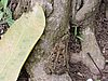DSCN2992.JPG