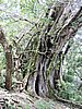 DSCN2993.JPG