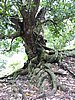 DSCN3003.JPG