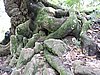 DSCN3004.JPG