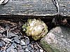 DSCN3005.JPG