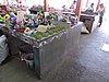 DSCN3020.JPG