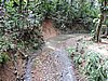 DSCN3029.JPG