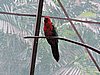 DSCN3033.JPG