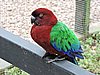 DSCN3038.JPG