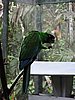 DSCN3040.JPG