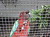 DSCN3043.JPG