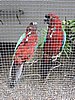 DSCN3045.JPG