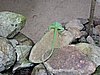 DSCN3046.JPG
