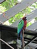 DSCN3047.JPG