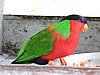 DSCN3048.JPG