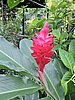 DSCN3049.JPG