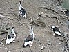 DSCN3051.JPG