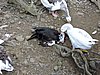 DSCN3053.JPG