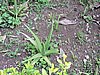 DSCN3057.JPG