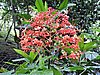 DSCN3058.JPG