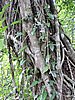 DSCN3062.JPG