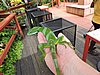 DSCN3064.JPG