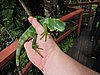 DSCN3065.JPG