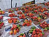 DSCN3084.JPG