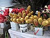 DSCN3087.JPG