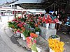 DSCN3088.JPG